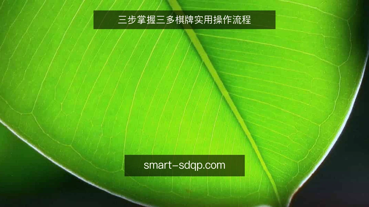 三步掌握三多棋牌实用操作流程